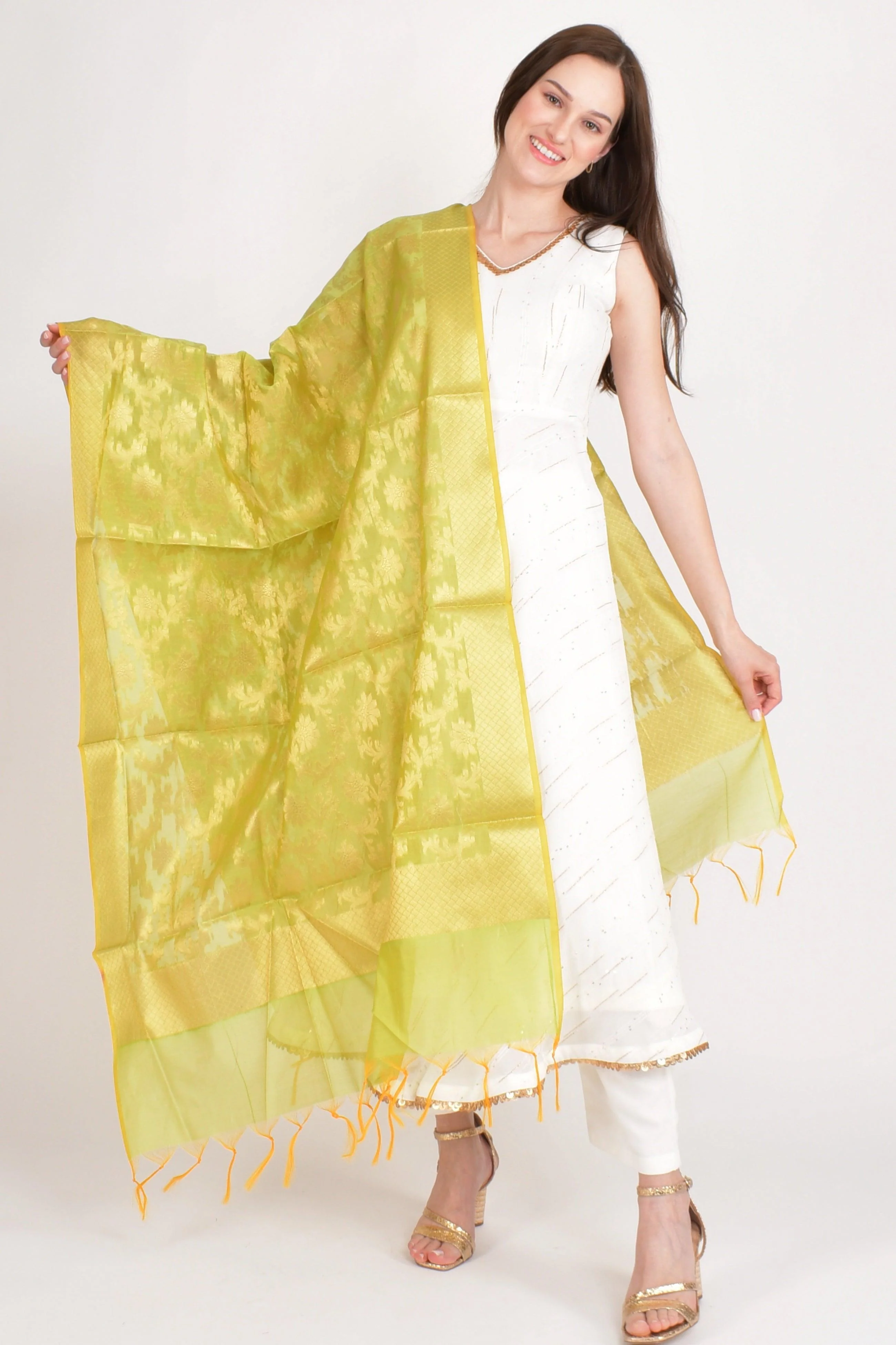 Meera Lime Banarasi Silk Dupatta