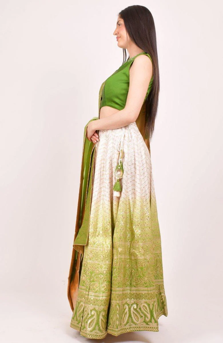Shaded Green Lehenga Choli for Wedding and Festive Event - Image 6